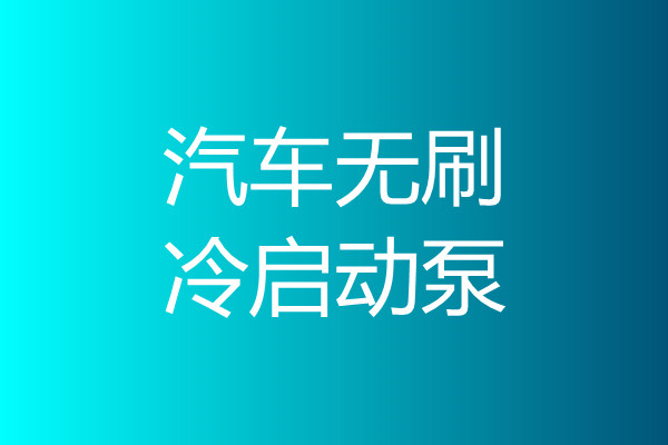 汽車無(wú)刷冷啟動(dòng)泵